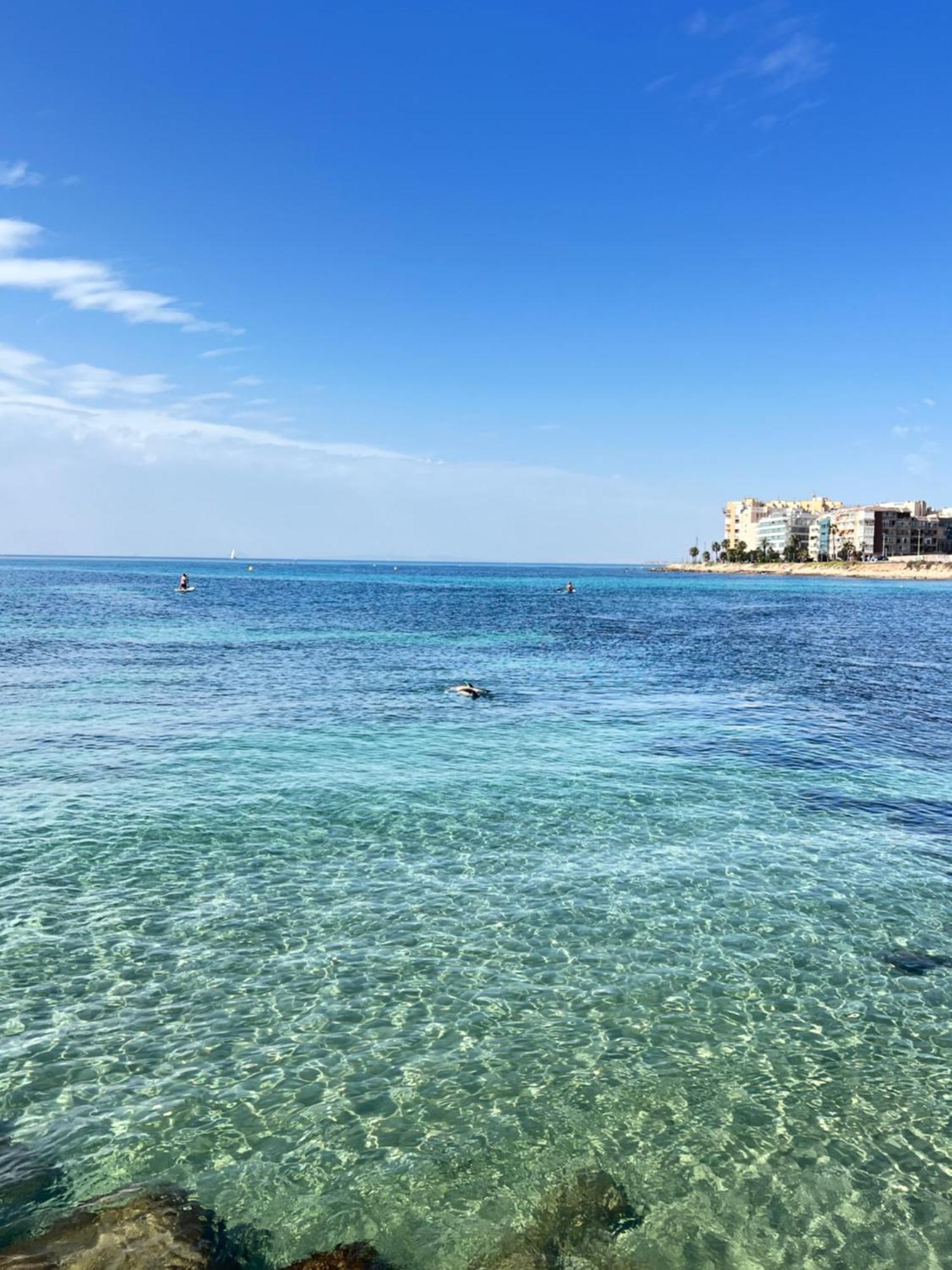 Renovated Cosy Studio 350 M Playa Del Cura, With Official Touristic License Torrevieja Exterior photo